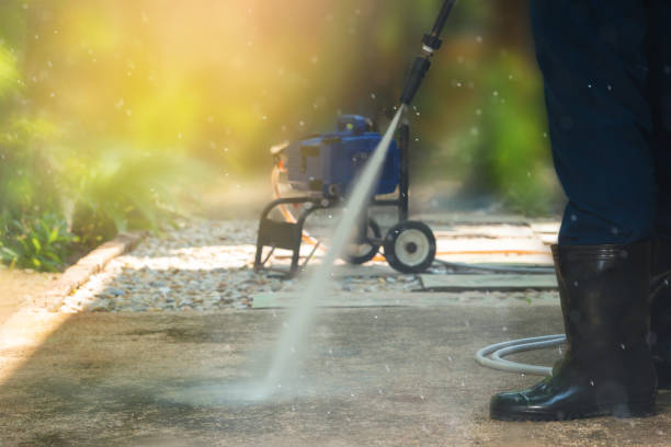 Best Gutter Cleaning  in Lake Camelot, IL
